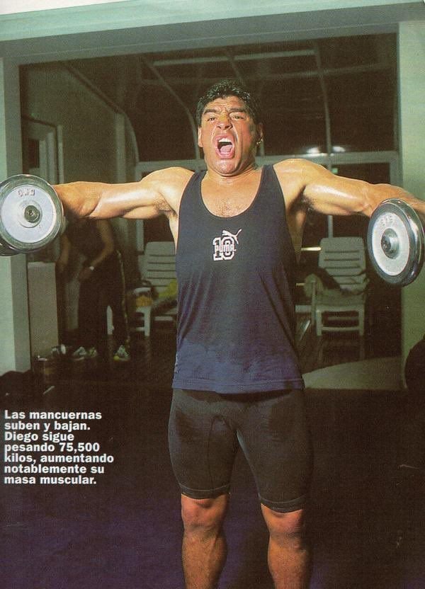 referencia gimnasio archivo